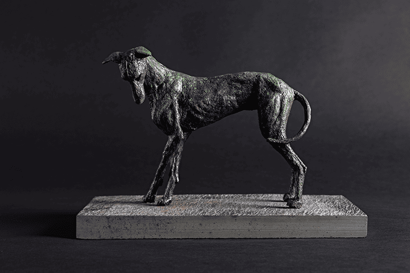 Dog, standing, turning, greyhound, bronze, delicate